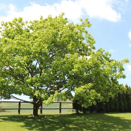 El-tan Gasthuis Złoty Stok